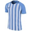 Maillot Nike Striped Division III 894081-412