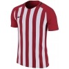 Maillot Nike Striped Division III 894081-658