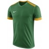 Maillot Nike Park Derby II 894312-302