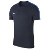 Maillot  Nike Academy 18 893693-451
