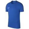 Maillot  Nike Academy 18 893693-463
