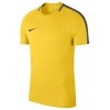Maillot  Nike Academy 18 893693-719