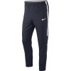 Pantalon Nike Dry Academy AR7475-451