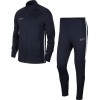 Survtement Nike Dri-Fit Academy 19 AO0053-451