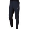 Pantalon Nike Dri-FIT Academy  AJ9729-451