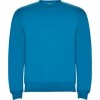 Sweatshirt Roly Clsica 1070-100