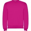 Sweatshirt Roly Clsica 1070-78