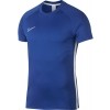 Camiseta Entrenamiento Nike Dri-FIT Academy AJ9996-480