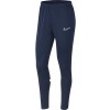 Pantalon Nike Dri-FIT Academy Mujer CV2665-451