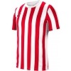 Maillot Nike Striped Division IV CW3813-104