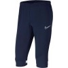 Pantalon Nike Academy 21 3/4 Knit Pant CW6125-451