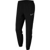 Pantalon Nike Academy 21 Woven Track Pant CW6128-010
