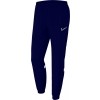 Pantalon Nike Academy 21 Woven Track Pant CW6128-451