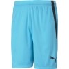 Short Puma Team Liga 704924-40