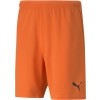 Short Puma Rise 704942-08