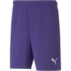 Short Puma Rise 704942-10