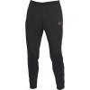 Pantaln Nike Therma FIT Academy DC9142-010