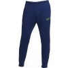 Pantaln Nike Therma FIT Academy DC9142-492