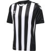 Camiseta hummel HmlCore XK Striped 211458-2114