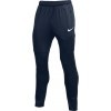 Pantalon Nike Dri-FIT Park BV6877-410