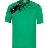 Camiseta Mizuno Iwata P2EAB562-38