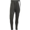 Pantalon adidas Tiro 24 Competition Winterized Pant IM9972