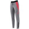 Pantalon adidas Tiro 24 Competition Winterized Women IY0115