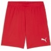 Short Puma TeamGoal 705752-01