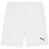 Short Puma TeamGoal 705752-04