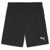 Short Puma TeamGoal 705752-03