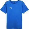 Camiseta Puma TeamRise Matchday 706132-02