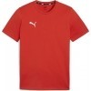 Maillot  Puma TeamGoal Casual 658615-01