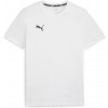 Maillot  Puma TeamGoal Casual 658615-04