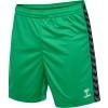 Calzona hummel Hml Authentic Poly Shorts 219970-6235