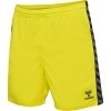 Short hummel Hml Authentic Poly Shorts 219970-5269