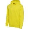 Sweat-shirt hummel HmlGo 2.0 Hoodie 224833-5269