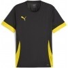 Camiseta Puma TeamGOAL 705747-26