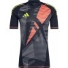 Maillot de Gardien adidas Tiro 24 GK IN0423