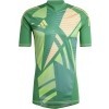 Maillot de Gardien adidas Tiro 24 GK IS5349