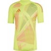 Camisa de Portero adidas Tiro 24 GK IK4906