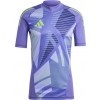 Maillot de Gardien adidas Tiro 24 GK IN0424