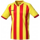 Camiseta de Fútbol MERCURY Champions MECCBD-0704