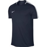 Camiseta Entrenamiento de Fútbol NIKE Dry Academy Top 832967-451