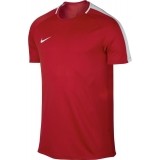 Camiseta Entrenamiento de Fútbol NIKE Dry Academy Top 832967-657