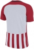 Maillot Nike Striped Division III