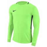 Camisa de Portero de Fútbol NIKE Park Goalie III 894509-398