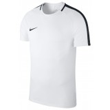 Camiseta Entrenamiento de Fútbol NIKE Academy 18 893693-100