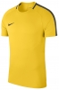 Maillot  Nike Academy 18