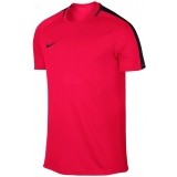 Camiseta Entrenamiento de Fútbol NIKE Dry Academy Top 832967-653