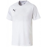 Camiseta de Fútbol PUMA Liga Core 703509-04